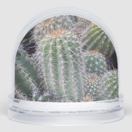 Cactus Snow Globe Schneekugeln