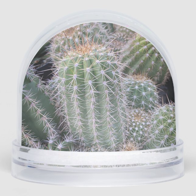 Cactus Snow Globe Schneekugeln (Vorderseite)
