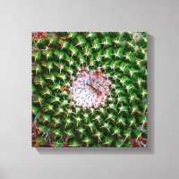 Cactus Spiral