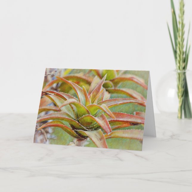 Cactus succulent Aloe Art Note Card Karte (Vorderseite)