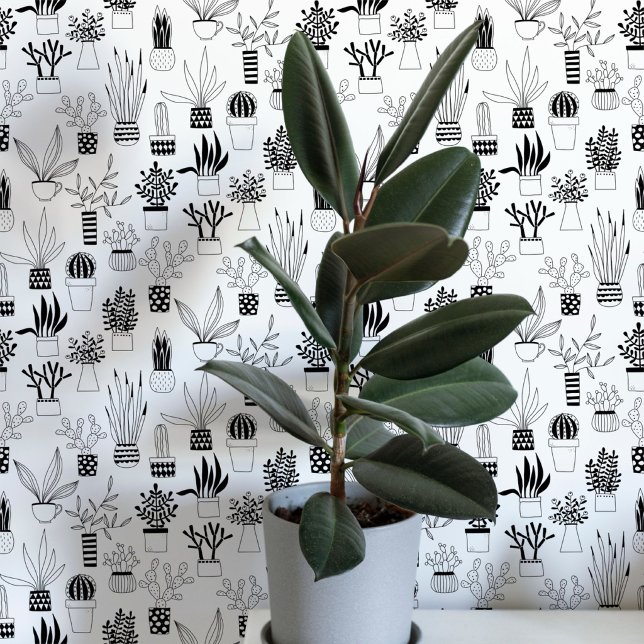 Cactus Succulent Black and White Art Tapete (Cactus cacti succulent house plant black and white art wallpaper)