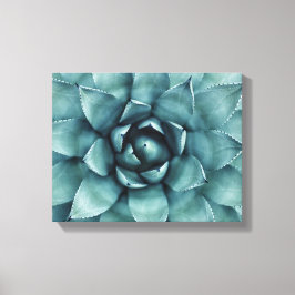 Cactus succulent Cacti Leinwand Art