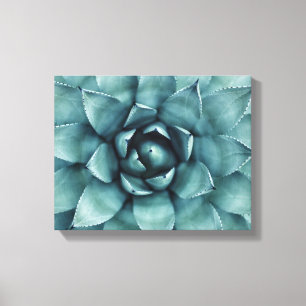 Cactus succulent Cacti Leinwand Art