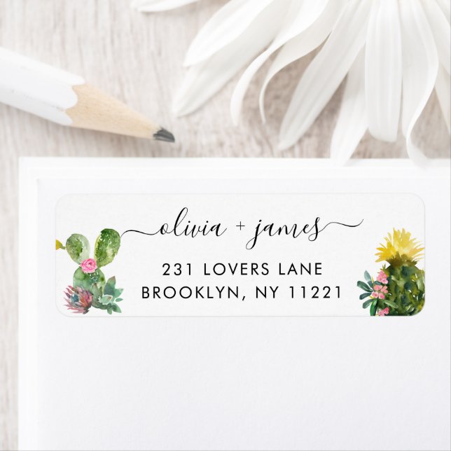 Cactus succulent Cacti Wüste Floral (Insitu)