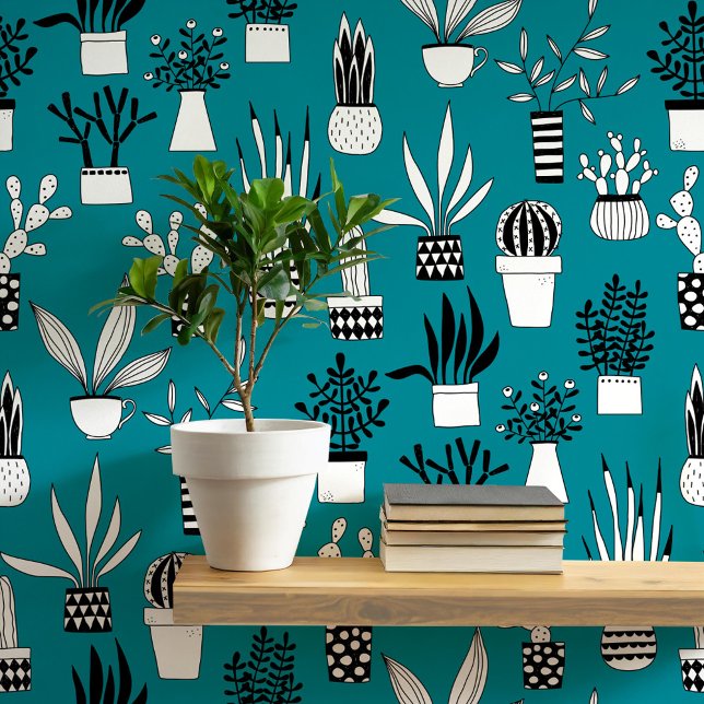 Cactus Succulent House Pflanze Aquamarine Grüne Ku Tapete (Cactus and succulent teal green art wallpaper)