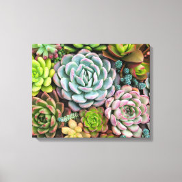 Cactus succulents canvas print leinwanddruck