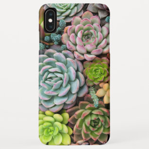 Cactus succulents - Gehäuse Case-Mate iPhone Hülle