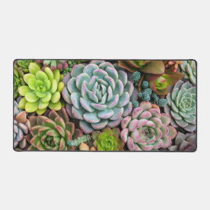 Cactus succulents schreibtischunterlage