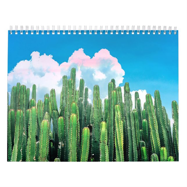 Cactus Summer Kalender (Titelbild)