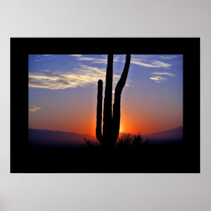 Cactus Sunset Poster