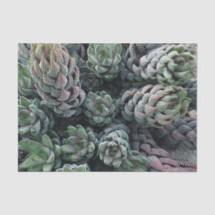 Cactus Tissue Paper Seidenpapier