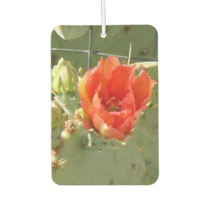 Cactus Tough and Beautiful car air fresh Autolufterfrischer