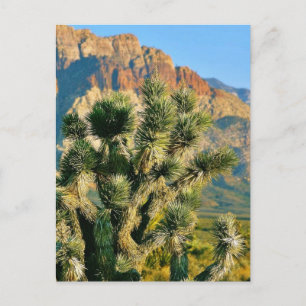 Cactus Tree Postkarte