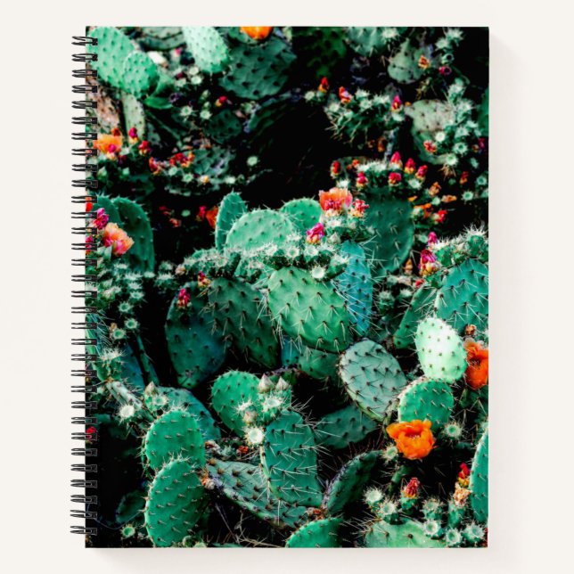 Cactus Uni Notebook Notizbuch (Vorderseite)
