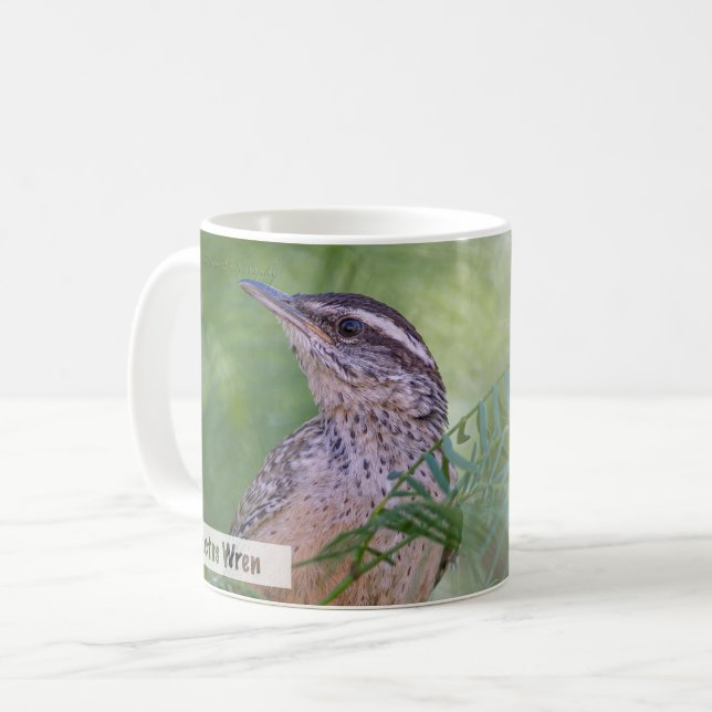 Cactus Wren Matthew 6:25 KJV Kaffeetasse (Vorderseite Links)
