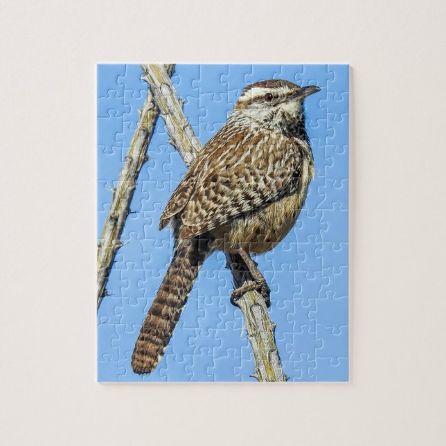 Cactus Wren Puzzle (Vertikal)