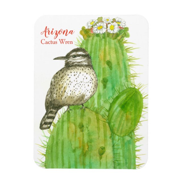 Cactus Wren Staat Bird of Arizona Magnet (Vertikal)