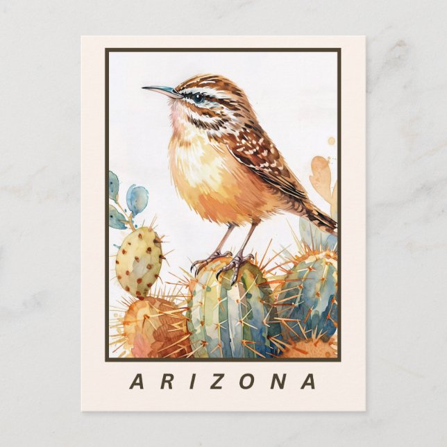 Cactus Wren Wüsten Vogel Arizona Bundesstaat Postkarte (Vorderseite)