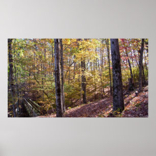 Caddo Bend Trail Bridge im Herbstwald Poster