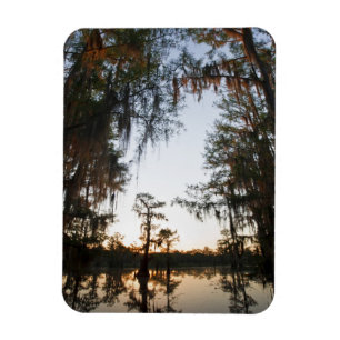 Caddo Lake at sunrise Magnet