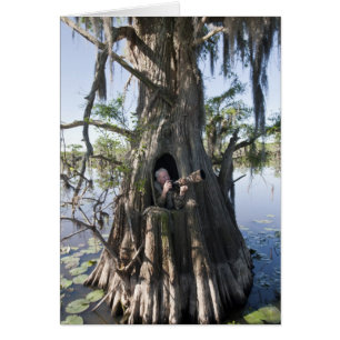 Caddo Lake, Jagdkanzel