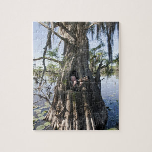 Caddo Lake, Jagdversteck Puzzle