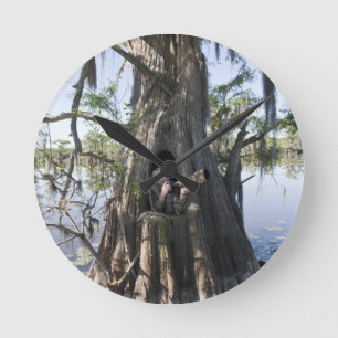Caddo-See, Jagd blind Runde Wanduhr