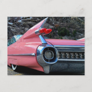 Caddy Fins Postkarte