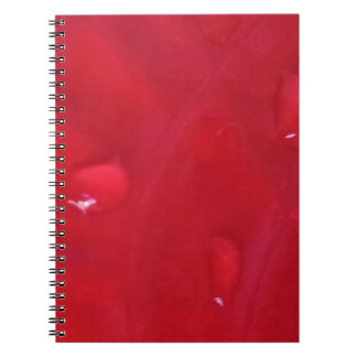 Caderno Espiral com Foto Notizblock