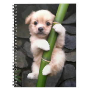 Caderno EspirGaejook 개 죽 이 Notizblock