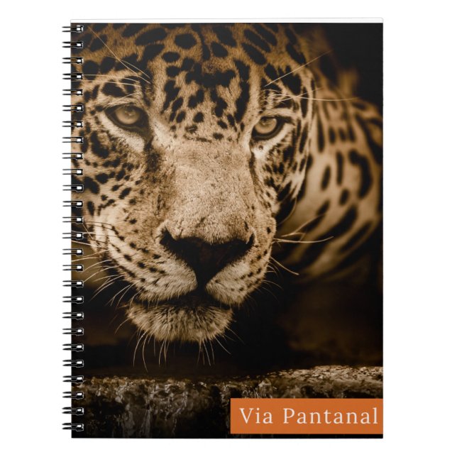 Caderno Via Pantanal Onça Notizblock (Vorderseite)