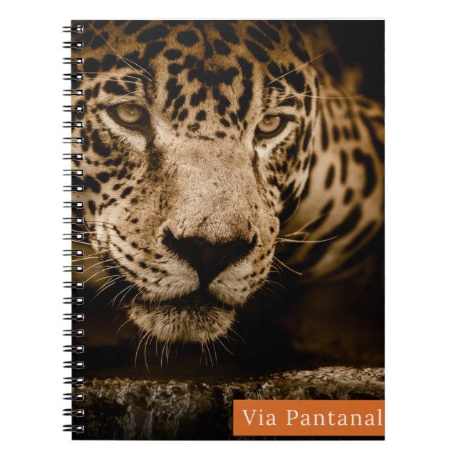 Caderno Via Pantanal Onça Notizblock (Vorderseite)