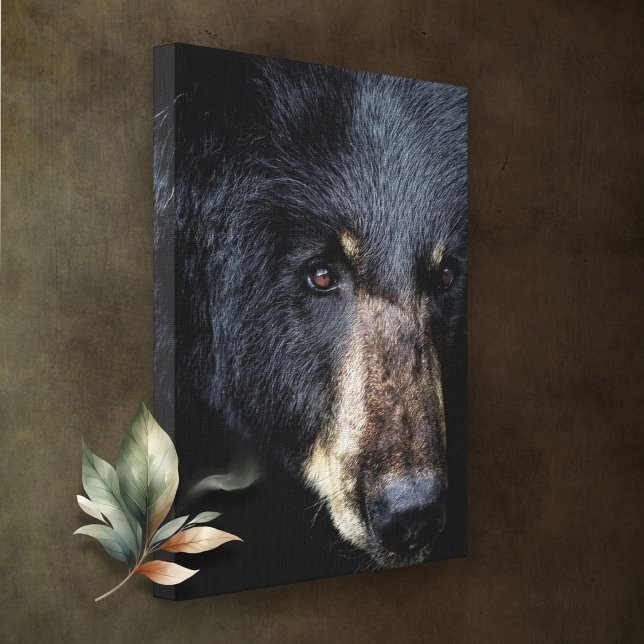 Cades Cove Black Bear Canvas Print Leinwanddruck (Von Creator hochgeladen)