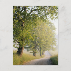 Cades Cove   Great Smokey Mountains, TN Postkarte