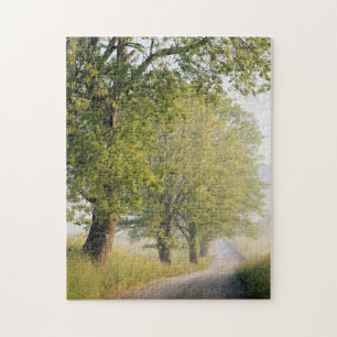 Cades Cove   Great Smokey Mountains, TN Puzzle