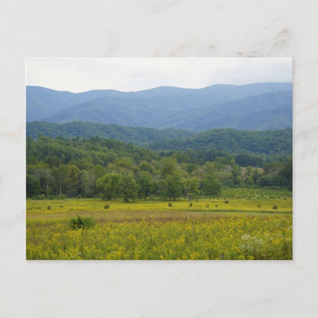 Cades Cove Postkarte (Vorderseite)