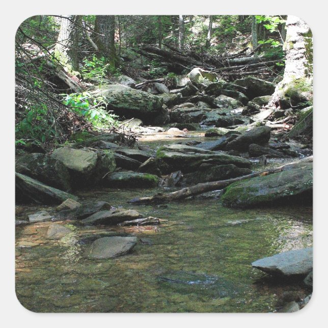 Cade's Cove Quadratischer Aufkleber (Vorderseite)