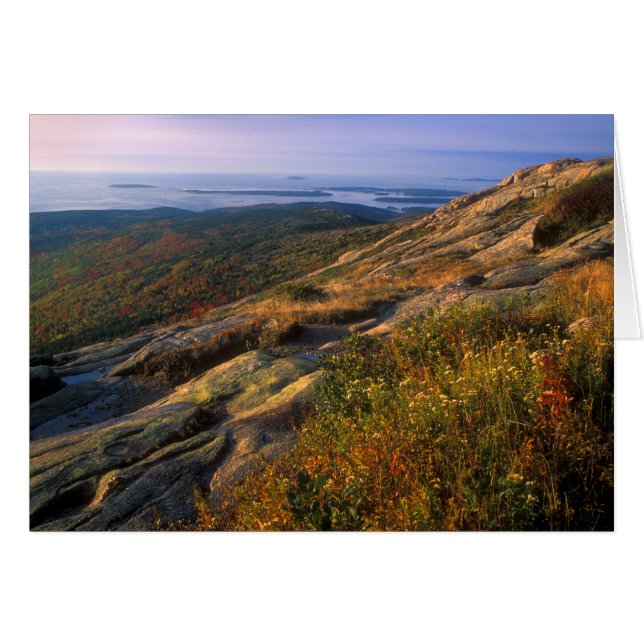 Cadillac Mountain Acadia Nationalpark (Vorderseite (Horizontal))