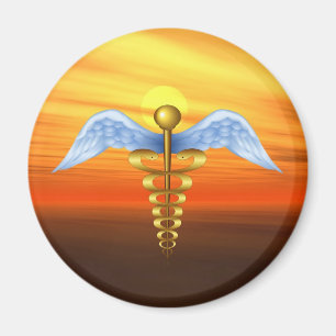 Caduceus Magnet