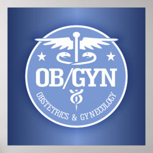Caduceus OBGYN Geschenkideen Poster