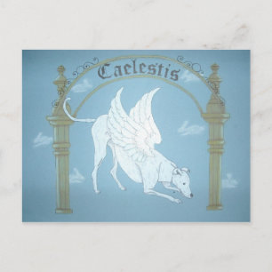 Caelestis "Hund of Heaven" Postkarte