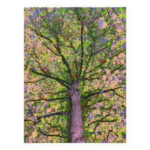 Caesar Salad 15 Fotodruck