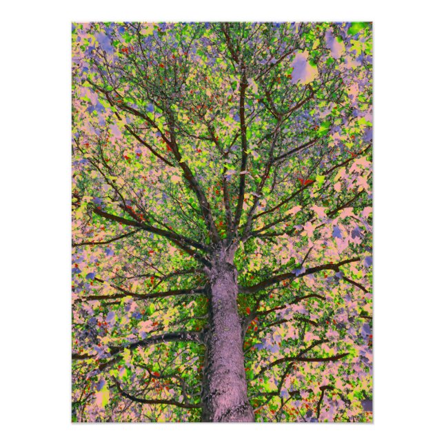 Caesar Salad 15 Fotodruck (Vorne)