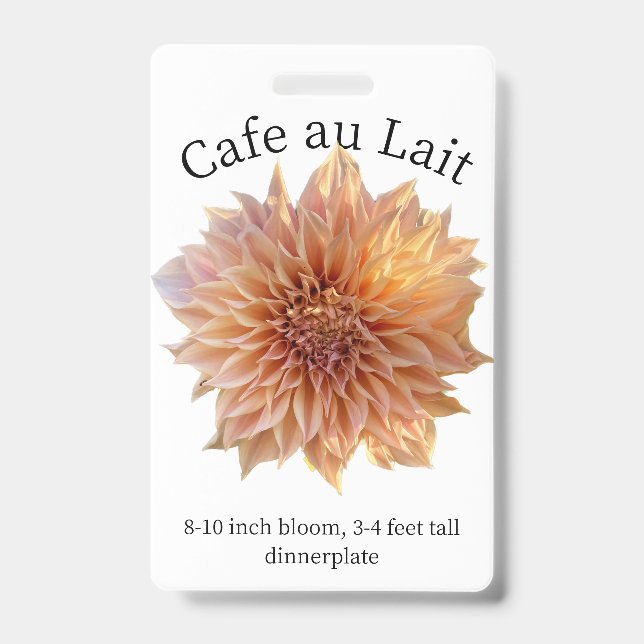 Cafe au Lait Dahlia ID Abzeichen Ausweis (Vorderseite)