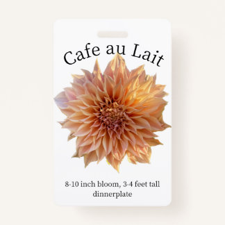 Cafe au Lait Dahlia ID Abzeichen Ausweis