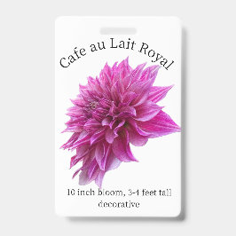 Cafe au Lait Royal Dahlia ID Abzeichen Ausweis