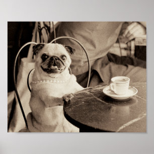 Café Mops Poster