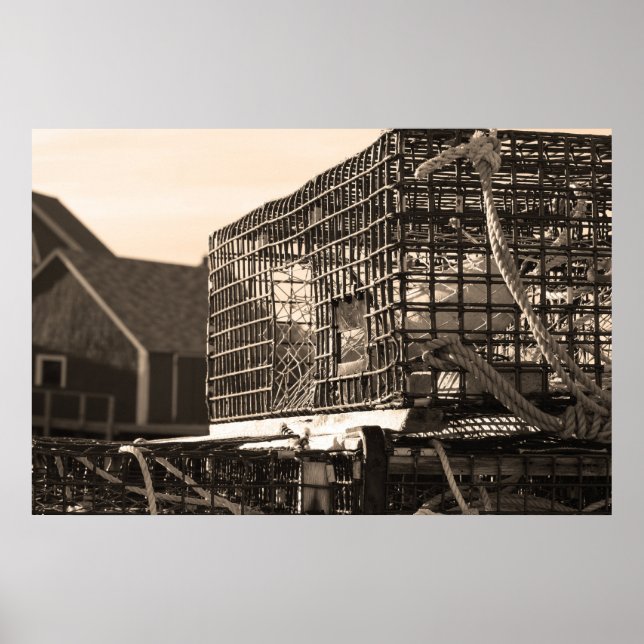 Cagin Print Poster (Vorne)