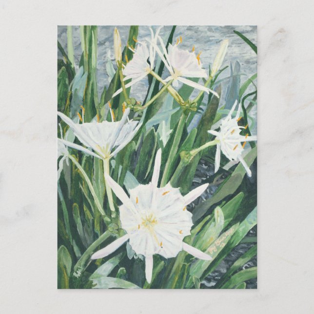 Cahaba Lilies Postcard Postkarte (Vorderseite)