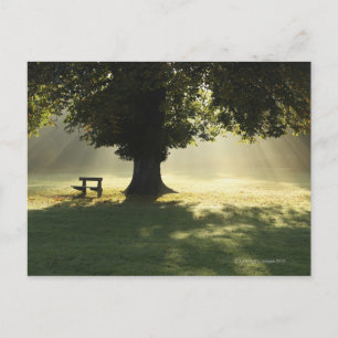 Cahir, Landkreis Tipperary, Irland Postkarte
